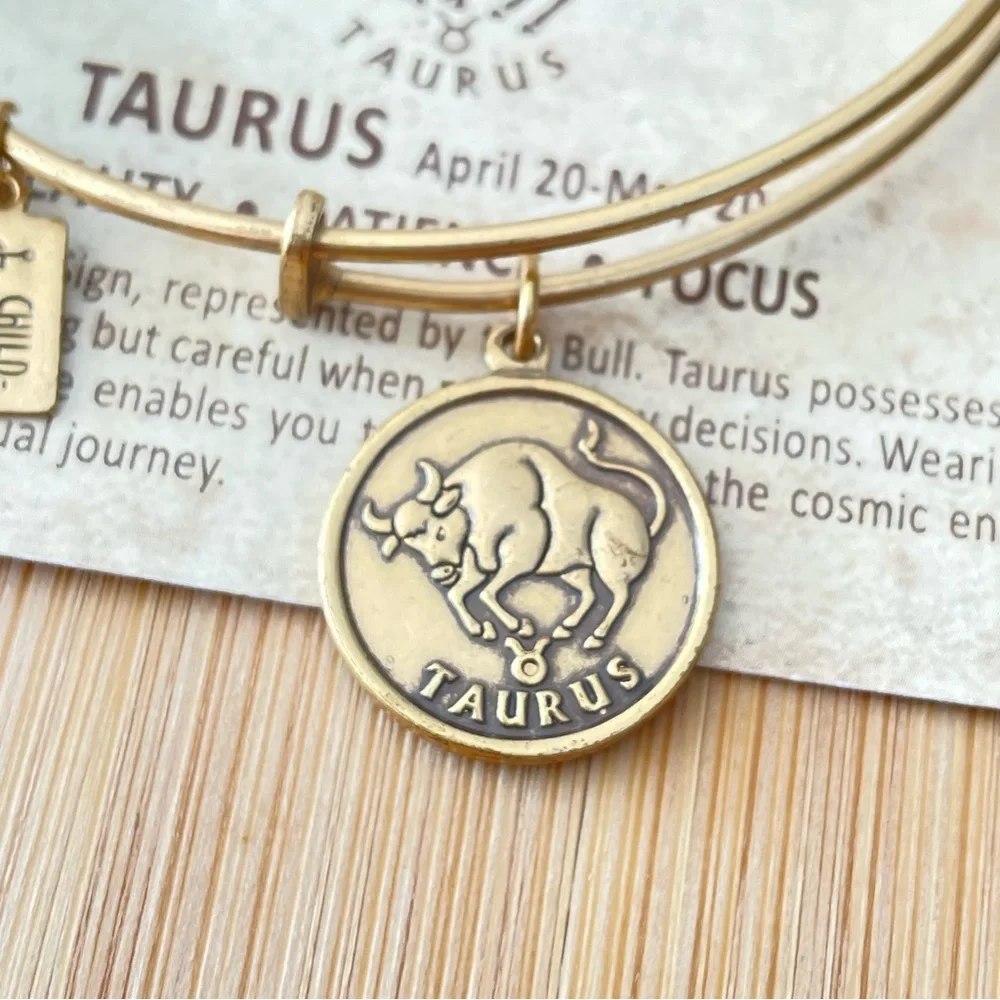 Taurus Wind and fire, the art of Eco sustainable jewelry, reclaimed bracelet - Picture 6 of 9